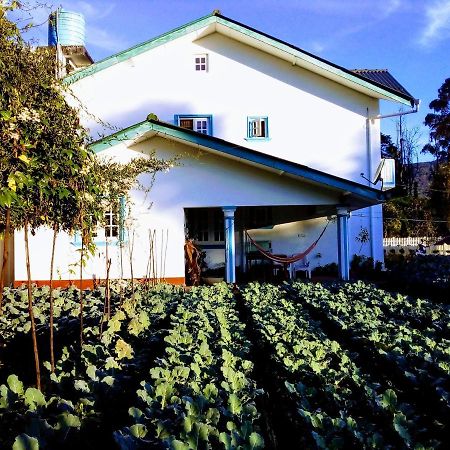 Vibe Way Hotel Нувара Елия Екстериор снимка